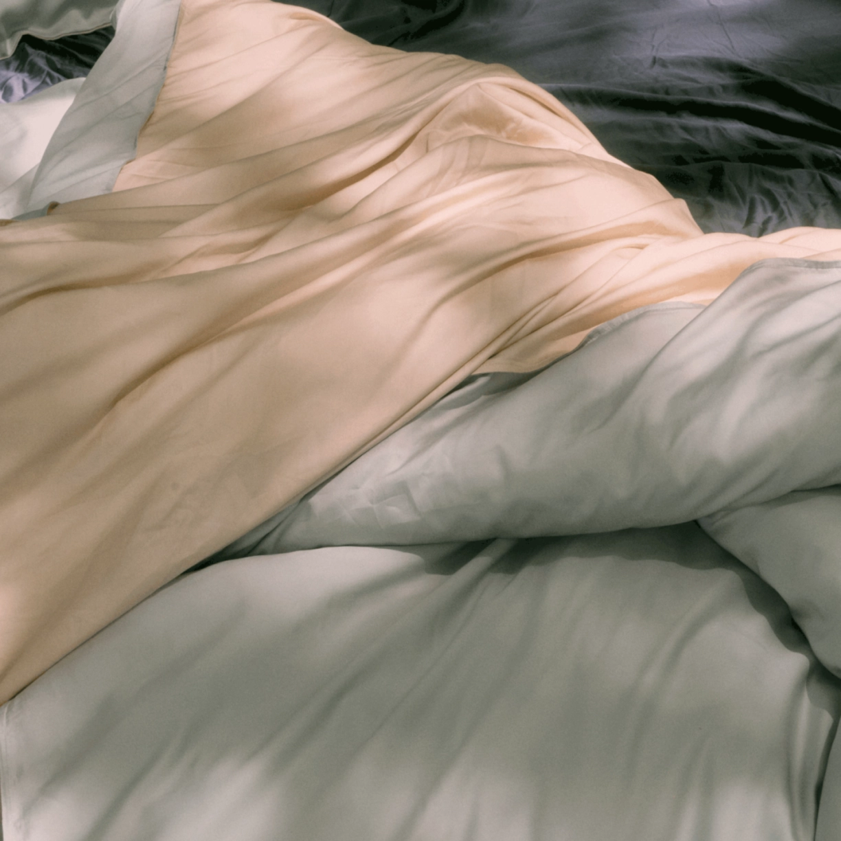 【預購】天絲100支床包